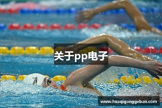 关于pp电子